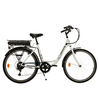 Bici a pedalata assistita, city bike, bici elettriche da città, e-bike -  Norauto