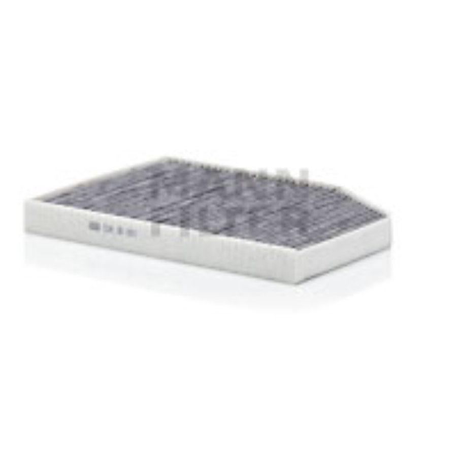 RIDEX Filtro Abitacolo Al Carbone Attivo 424I0006 - Per VW Polo (9N) 1.2/1.4/2.0 - 252x216 Mm