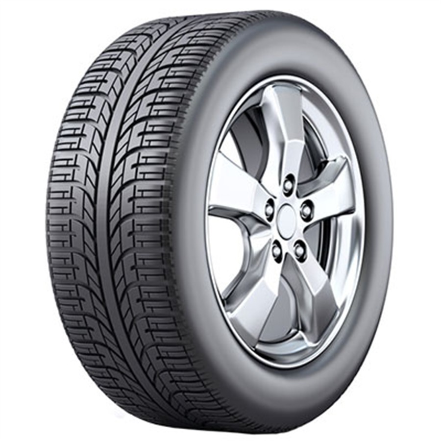 Pneumatico FORTUNA WINTER 205/50 R17 93 V XL Norauto.it